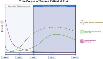 Longitudinal assessment of the inflammatory response: The next step in personalized medicine after severe trauma